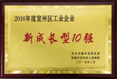 宣州區(qū)工業(yè)企業(yè)新成長10強